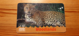 Prepaid Phonecard France, Woodlands - Cheetah - Prepaid: Mobicartes