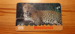 Prepaid Phonecard France, Woodlands - Cheetah - Mobicartes: Móviles/SIM)