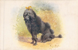 ANIMAUX - CHIEN - Caniche Royal Noir - Carte Postale Ancienne - Cani