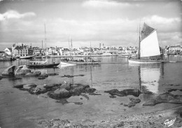 Concarneau * Les Thoniers Et Yacht Dans Le Port - Concarneau