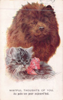 ANIMAUX - CHIEN - Chowchow Marron - Carte Postale Ancienne - Cani