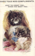 ANIMAUX - CHIEN - Pékinois Et Son Bébé - Carte Postale Ancienne - Cani