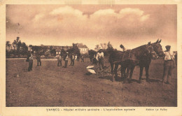 Vannes * Hôpital Militaire Sanitaire * L'exploitation Agricole * Travail Aux Champs * Labourage Labour - Vannes