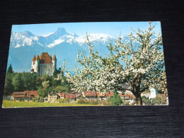 59159-            SWITZERLAND,  THUN MIT SCHLOSS UND STOCKHORN - Horn