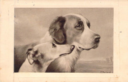 ANIMAUX - CHIEN - Epagneul - Carte Postale Ancienne - Cani