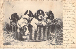 ANIMAUX - CHIEN - Beagles - Carte Postale Ancienne - Cani