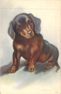 ANIMAUX - CHIEN - Teckel - Carte Postale Ancienne - Cani