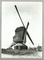 ***  TESSENDERLO  ***   -  Molen  -  Zie / Voir Scan's - Tessenderlo