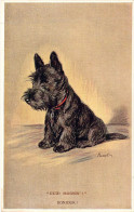 ANIMAUX - CHIEN - Fox Terrier - " Guid Mornin! " - Carte Postale Ancienne - Cani