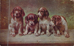 ANIMAUX - CHIEN - Jeunes Beagles - Carte Postale Ancienne - Cani