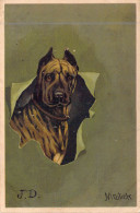 ANIMAUX - CHIEN - Américan Bully - Carte Postale Ancienne - Cani