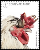 5109** - Coq / Haan / Hahn / Rooster - The Cosmopolitan Chicken - Koen Vanmechelen - Unused Stamps