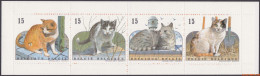 België 1993 - Mi:MH 35, Yv:C 2521, OBP:B 24, Booklet - XX - Cats - 1953-2006 Modernos [B]