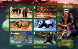 277270 MNH GIBRALTAR 2011 FAUNA - Schimpansen