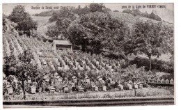 38 ISERE VIRIEU Rucher Manon Près De La Gare  Plan Peu Courant - Virieu