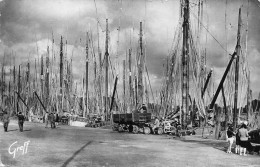 Concarneau * Une Forêt De Mâts Dans Le Port * Bateaux - Concarneau