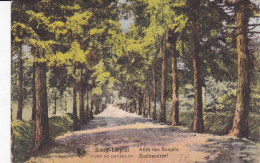 ZUCHTENDREEF - Leopoldsburg (Camp De Beverloo)