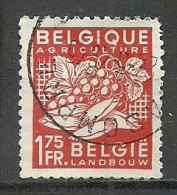 Belgium; 1948 Agriculture - Agriculture