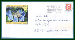 PAP € Repiqué Ploërmel 2000 Hortensias En L'an 2000 Flamme 56 Ploërmel 2003 Fleur Flower - Prêts-à-poster: Repiquages Privés
