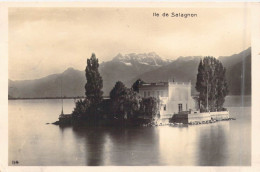 FRANCE - Ile De Salagnon - Carte Postale Ancienne - Andere & Zonder Classificatie