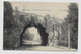 Brussels LAEKEN-HEYSEL  Le Pont Rustique Dans Le Parc, Circulé,  Voyagé En 1909y. G109 - Laeken