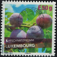 Luxembourg 2018 Oblitéré Used Fruits Karschnatzpromm Variété De Prune Y&T LU 2131 SU - Oblitérés