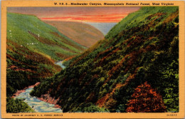 West Virginia Monongehala National Forest Blackwater Canyon 1953 Curteich - Other & Unclassified