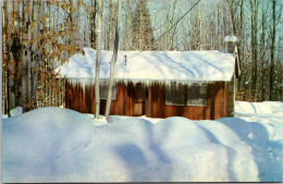 West Virginia Davis Tucker County Blackwater Falls State Park Vacation Cabin In Winter - Otros & Sin Clasificación