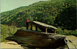 West Virginia Harper's Ferry Jefferson Rock - Sonstige & Ohne Zuordnung