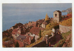 AK 123294 SWITZERLAND - Le Lavaux - St-Saphorin - Saint-Saphorin