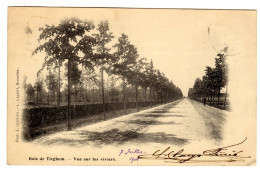 Tieghem (Tiegem) - Bois, Vue Sur Les Viviers - Bos, Zicht Op De Vijvers - 1901 - Uitg. L. Lagaert Phot. E. Castelein - Anzegem
