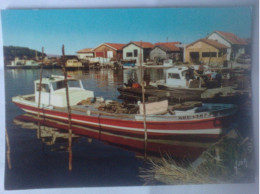 Bassin D'Arcachon Gironde - Le Port Des Pêcheurs à Piraillan - Bateau ARC 13873 - Cabannes Pêcheur - Pêche