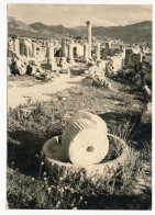 CPA MAROC Volubilis Reste D'un Moulin à Grain Edition Bernard Rouget Casablanca - Sonstige & Ohne Zuordnung