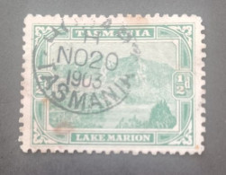 TASMANIA 1905 LAKE MARION CAT GIBBONS N 246 A PERF 11 - Usati