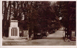 ROYAUME UNIS - South Walks Dorchester - Carte Postale Ancienne - Otros & Sin Clasificación