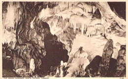 ROYAUME UNIS - The Organ Chamber Kents Cavern Torquay - Carte Postale Ancienne - Otros & Sin Clasificación