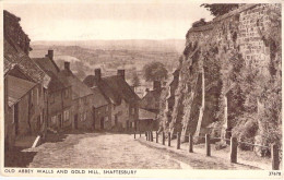 ROYAUME UNIS - Old Abbey Walls And Gold Hill Shaftesbury - Carte Postale Ancienne - Otros & Sin Clasificación