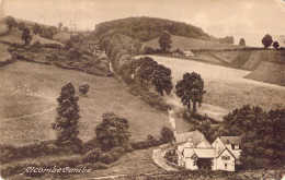 ROYAUME UNIS - Alcombe Combe - Carte Postale Ancienne - Autres & Non Classés