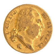 Louis XVIII-20 Francs 1818 Paris - 20 Francs (goud)