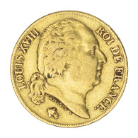 Louis XVIII-20 Francs 1819 Paris - 20 Francs (goud)