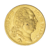 Louis XVIII-20 Francs 1824 Paris - 20 Francs (gold)