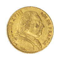 Louis XVIII-20 Francs 1814 Paris - 20 Francs (oro)