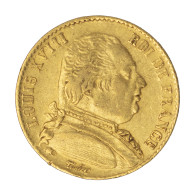 Louis XVIII-20 Francs 1814 Paris - 20 Francs (goud)