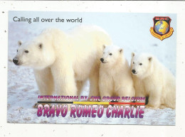 Cp , Carte QSL,  BRAVO ROMEO CHARLIE, International DX - SWL Group Belgium, Ours Et Oursons Polaires, 2 Scans - Radio Amateur