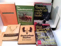 Konvolut: 6 Diverse Bände über Die Jagd. - Animaux