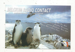 Cp , Carte QSL,  BRAVO ROMEO CHARLIE, International DX - SWL Group Belgium, Pingouins, 2 Scans - Radio Amateur