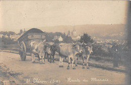 CPA 91 SAINT CHERON / CARTE PHOTO / ROUTE DU MARAIS / ATTELAGE DE BOEUFS - Saint Cheron