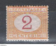 REGNO:  1870/74 TASSE  -  2 C. OCRA  E  CARMINIO  RIGOMMATO  -  SASS. 4 - Taxe