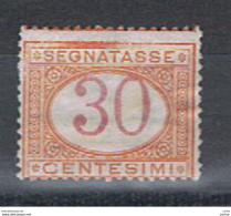 REGNO:  1890/94 TASSE  -  30 C. ARANCIO  E  CARMINIO  RIGOMMATO  -  SASS. 23 - Postage Due