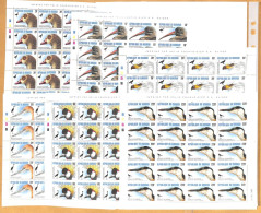 Burundi - 1076/1081 - Pages Complètes - Oiseaux - 1996 - MNH - Nuovi